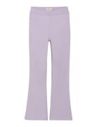 Pants Rib Purple Creamie