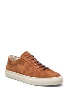 Jermain Suede Sneaker Brown Polo Ralph Lauren