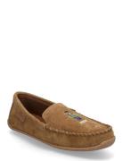 Brenan Polo Bear Suede Slipper Brown Polo Ralph Lauren