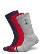 Polo Bear Roll-Top 3-Sock Gift Set Patterned Polo Ralph Lauren