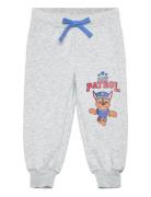 Pant Grey Paw Patrol