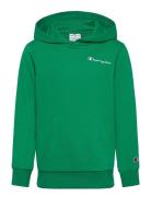 Hooded Sweatshirt Green Champion