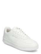 Newman Low Cut Shoe White Champion