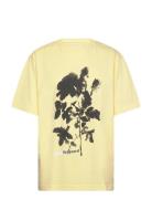 Cotton Jersey Dassel Tee Yellow Mads Nørgaard