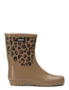 Ai Eliosa Bott Pt Leo Pr Brown Aigle