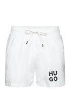 Paol White HUGO