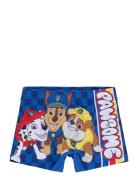 Swimsuit Blue Paw Patrol