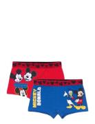 Boxer Patterned Disney