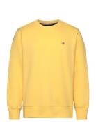 Reg Shield C-Neck Sweat Yellow GANT