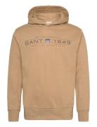 Graphic Hoodie Beige GANT