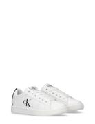 Kids Low Cut Lace-Up Sneaker White Calvin Klein
