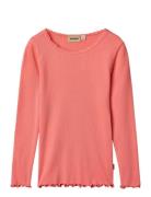 Rib T-Shirt L/S Reese  Wheat