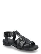 Sculpted Alba 25 Black ECCO