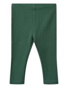 Jersey Legggings Jules Green Wheat