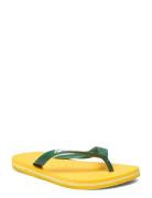 Hav Brazil Logo Yellow Havaianas