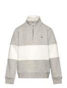 Color Blocked Shield Half Zip Grey GANT