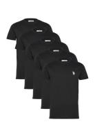 Bertil Reg Sj 5 Pk Uspa M Tee Black U.S. Polo Assn.