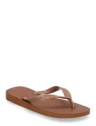 Hav. Top Senses Brown Havaianas