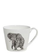 Mugg African Elephant White Maxwell & Williams