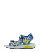 Pokemon Sandal Blue Leomil
