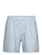 Hco. Guys Swim Blue Hollister