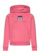 Archive Shield Raglan Hoodie Red GANT
