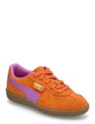 Palermo Ps Orange PUMA