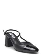 Zeina Sandal Black Steve Madden