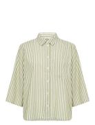 Sc-Rosette Green Soyaconcept