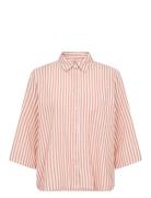 Sc-Rosette Pink Soyaconcept