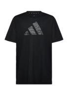 J Tr-Es Cam Te Black Adidas Sportswear