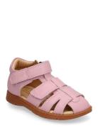 Bisgaard Frans Pink Bisgaard