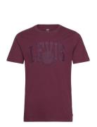 Graphic Crewneck Tee Applique Burgundy Levi's®