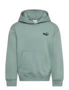 Ess Small No. 1 Logo Relaxed Hoodie Fl B Green PUMA
