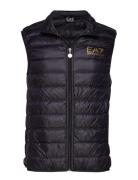 Down Vest Black EA7