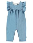 Fifi Blue Molo