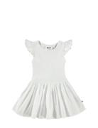 Cimi White Molo