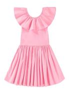 Christal Pink Molo