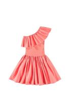 Chloey Pink Molo
