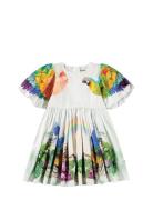 Chica White Molo