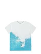 Riley Blue Molo