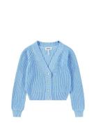 Gilberta Blue Molo