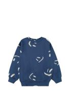 Monti Blue Molo