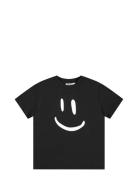 Roxo Black Molo