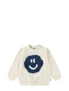 Disc Cream Molo