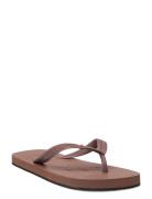 Flip Flop Brown Billi Bi