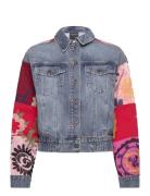 Daniela Blue Desigual