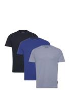 3 Pack Crew Patterned French Connection