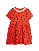 Dots Aop Lace Ss Dress Red Mini Rodini