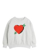 Arrowed Heart Chenille Sweatshirt Grey Mini Rodini